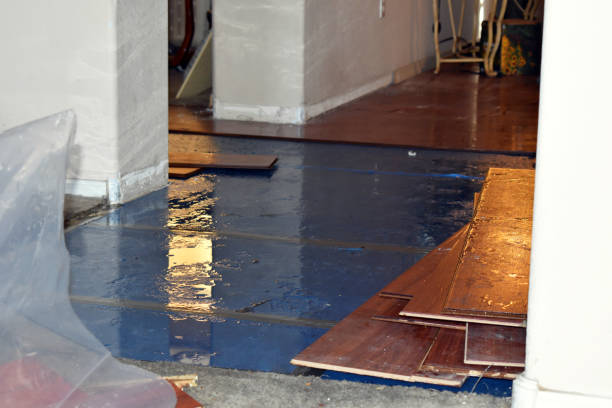 Professional Crawl Space Water Removal technician working in Santo, TX